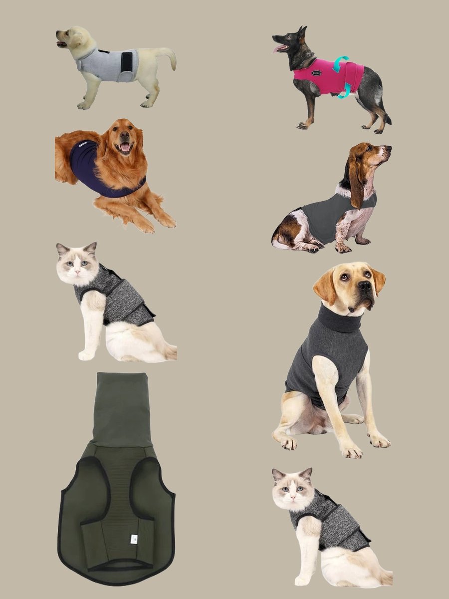 Nervous Dog Vest: Style Your Pup Calmly