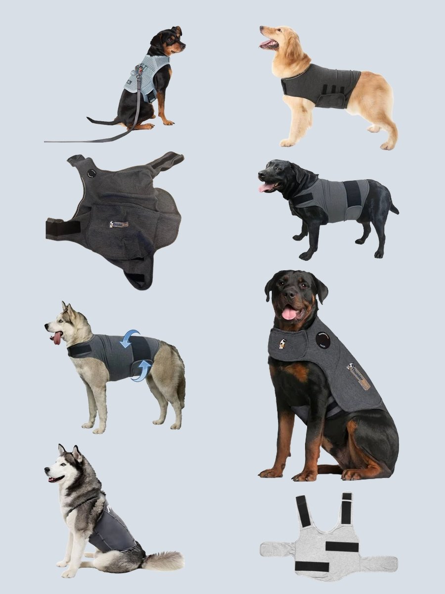 Dog Thunder Vest: Keep Calm and Style On!