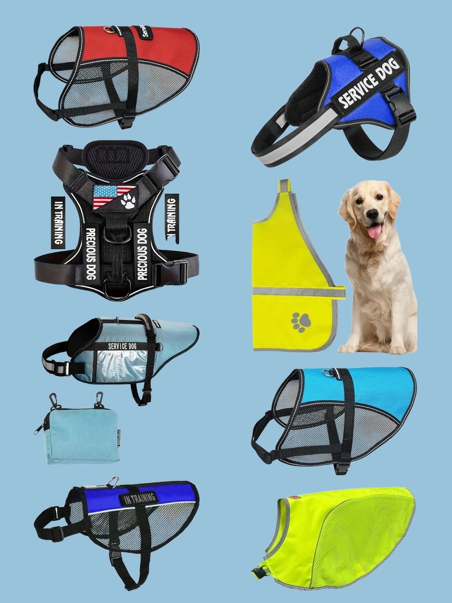 Stylish Service Dog Vests: Functional Fashion