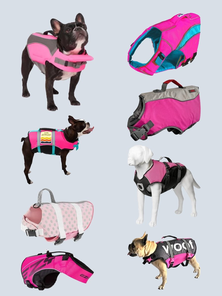 Neon Pink Dog Water Vest: A Splashy Style Statement!