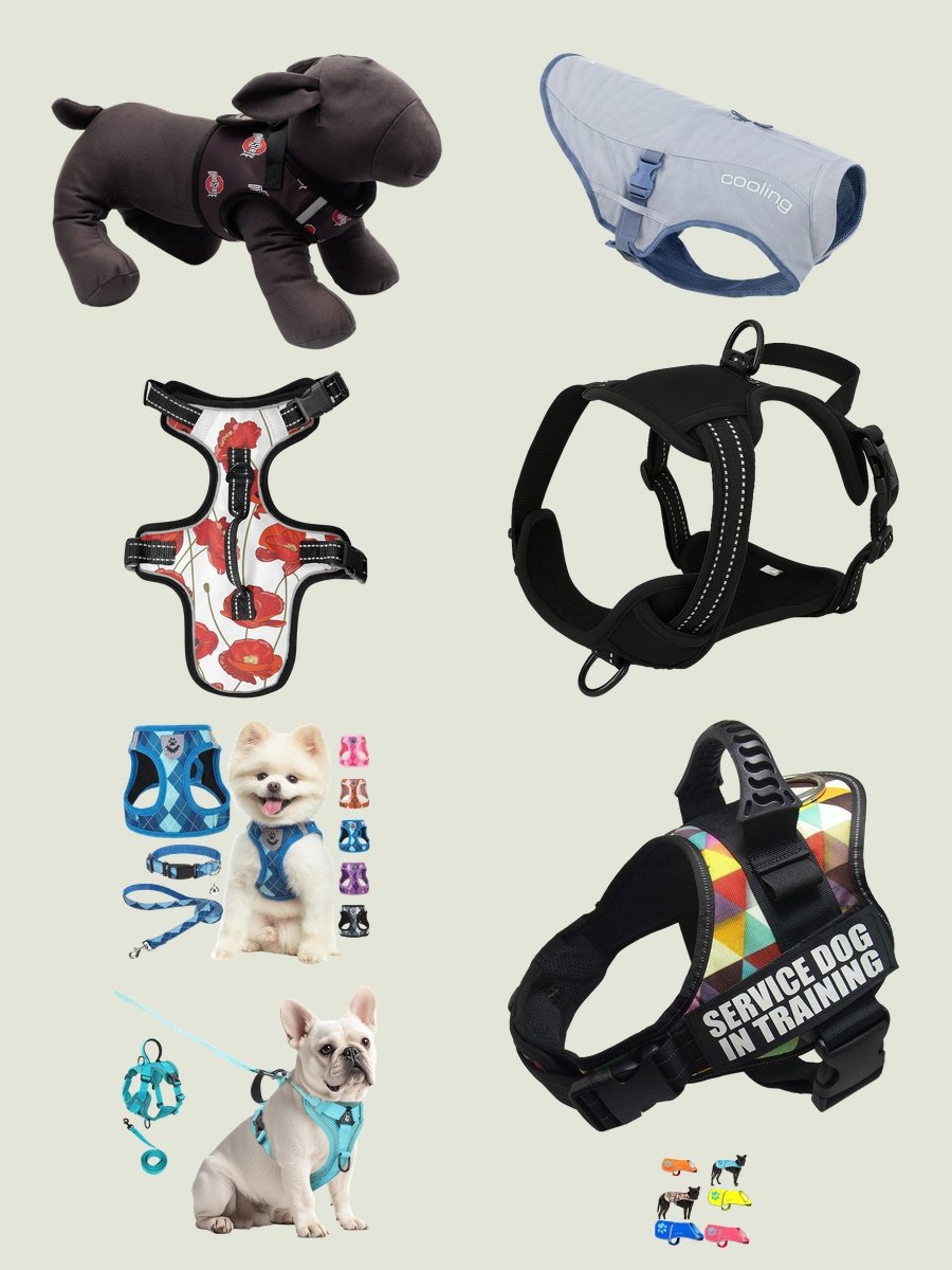 Chill Pooch: Ultimate Canine Cooling Vest Style Guide