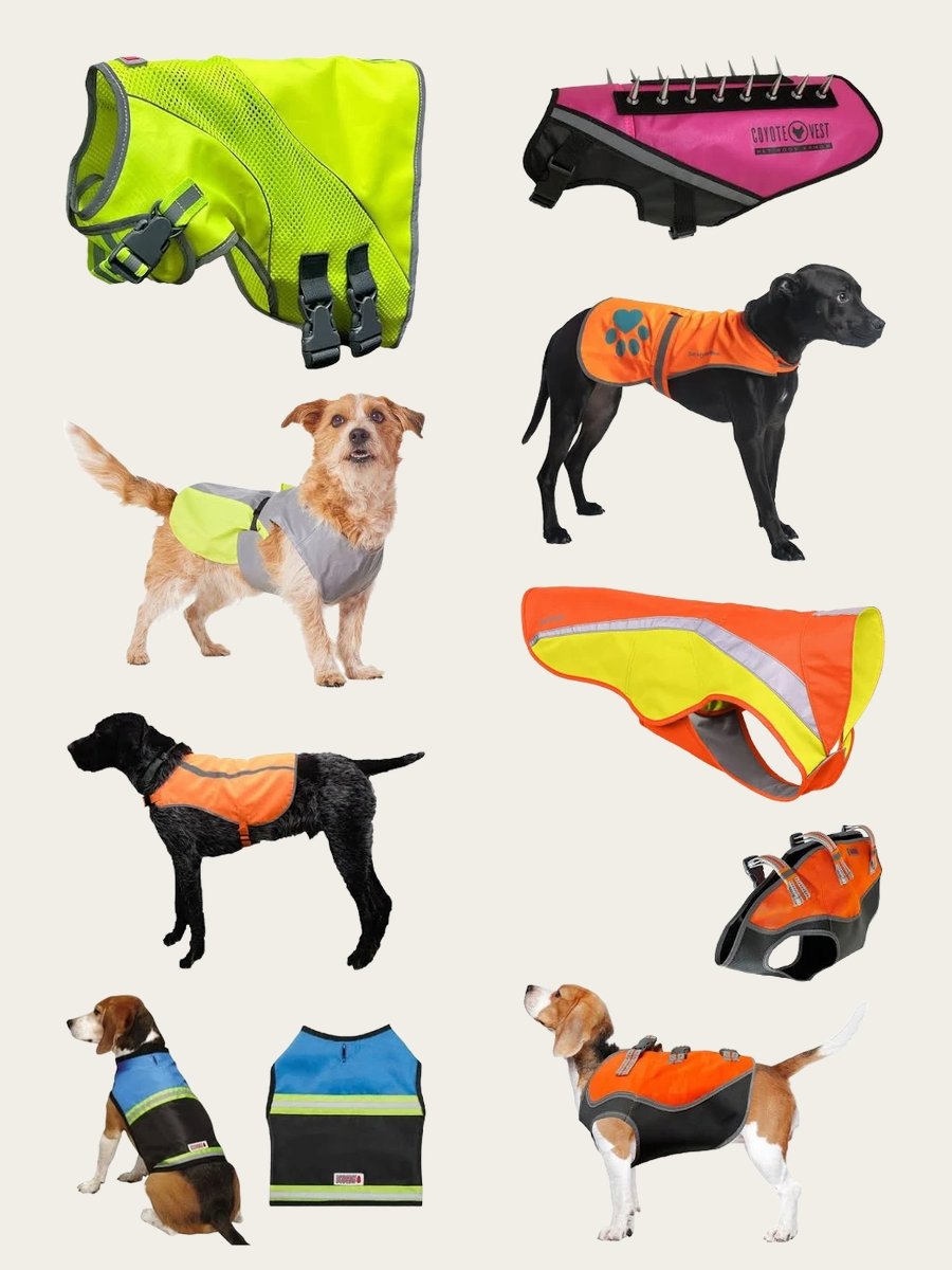 Anti Coyote Dog Vest: Style Meets Function