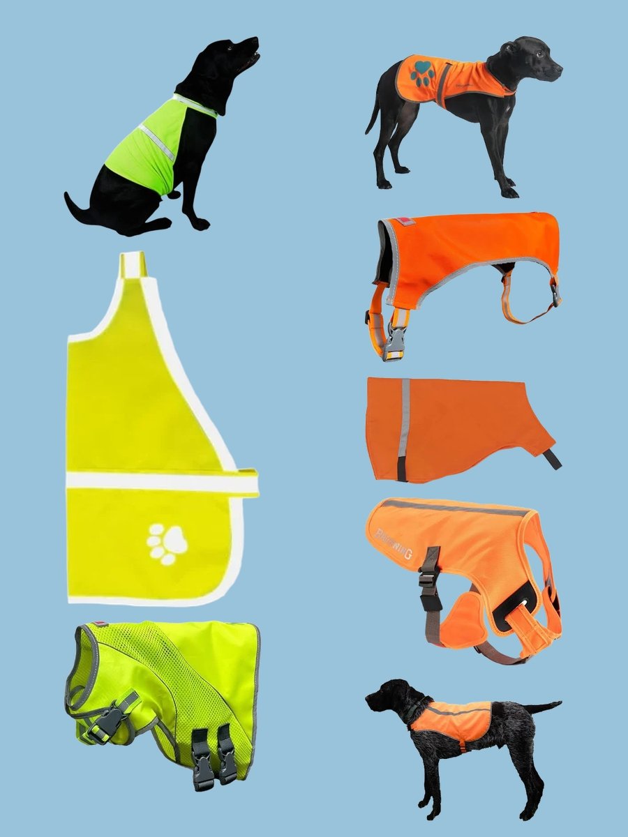Stylish Safety: The Reflective Protective Dog Vest
