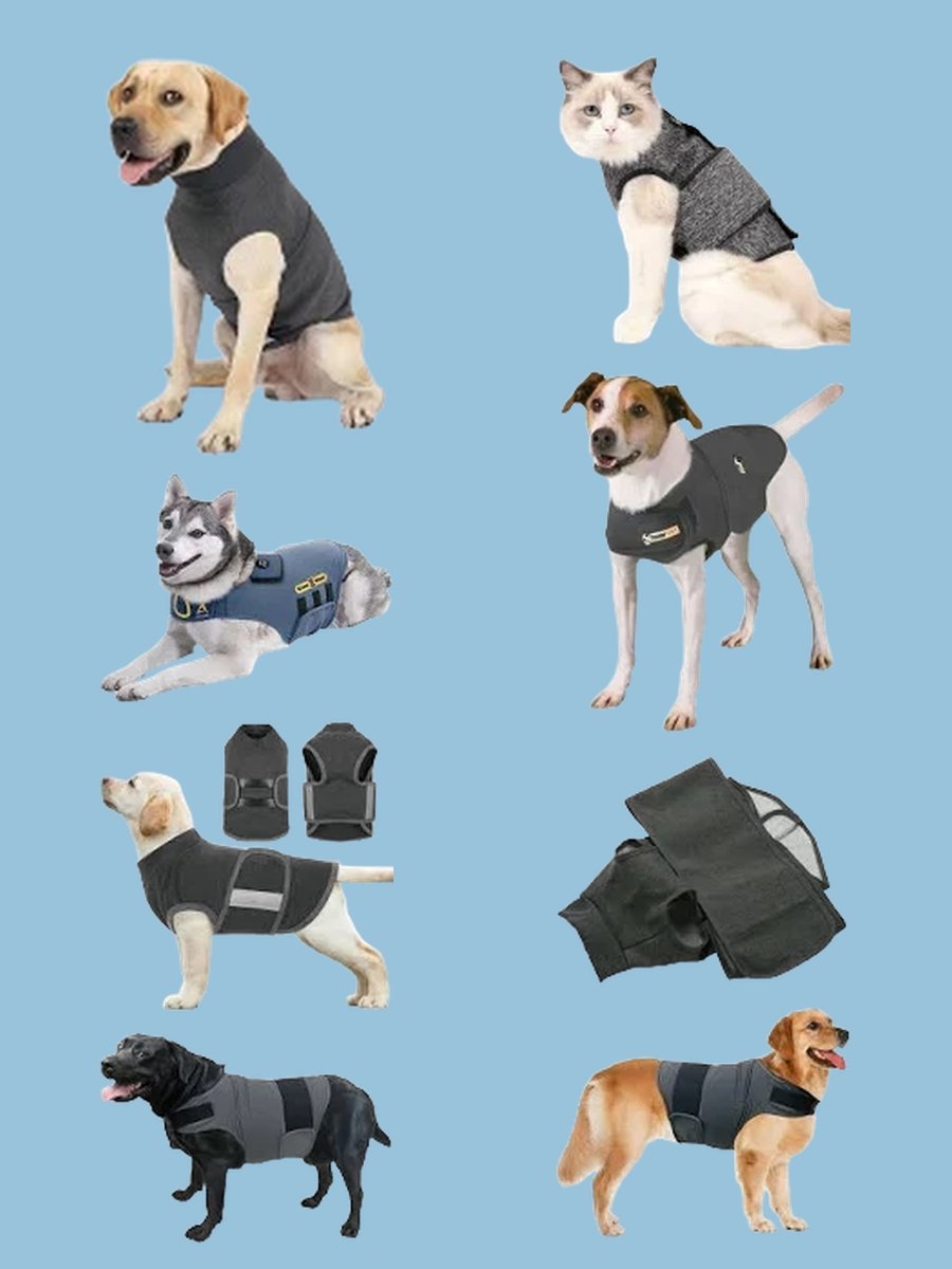 Transform Your Dog's Anxious Moments with a Chic Vest