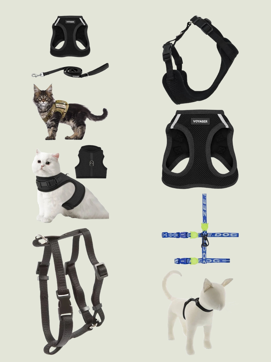 Unleash Elegance: The Purr-fect Black Mesh Cat Vest Harness