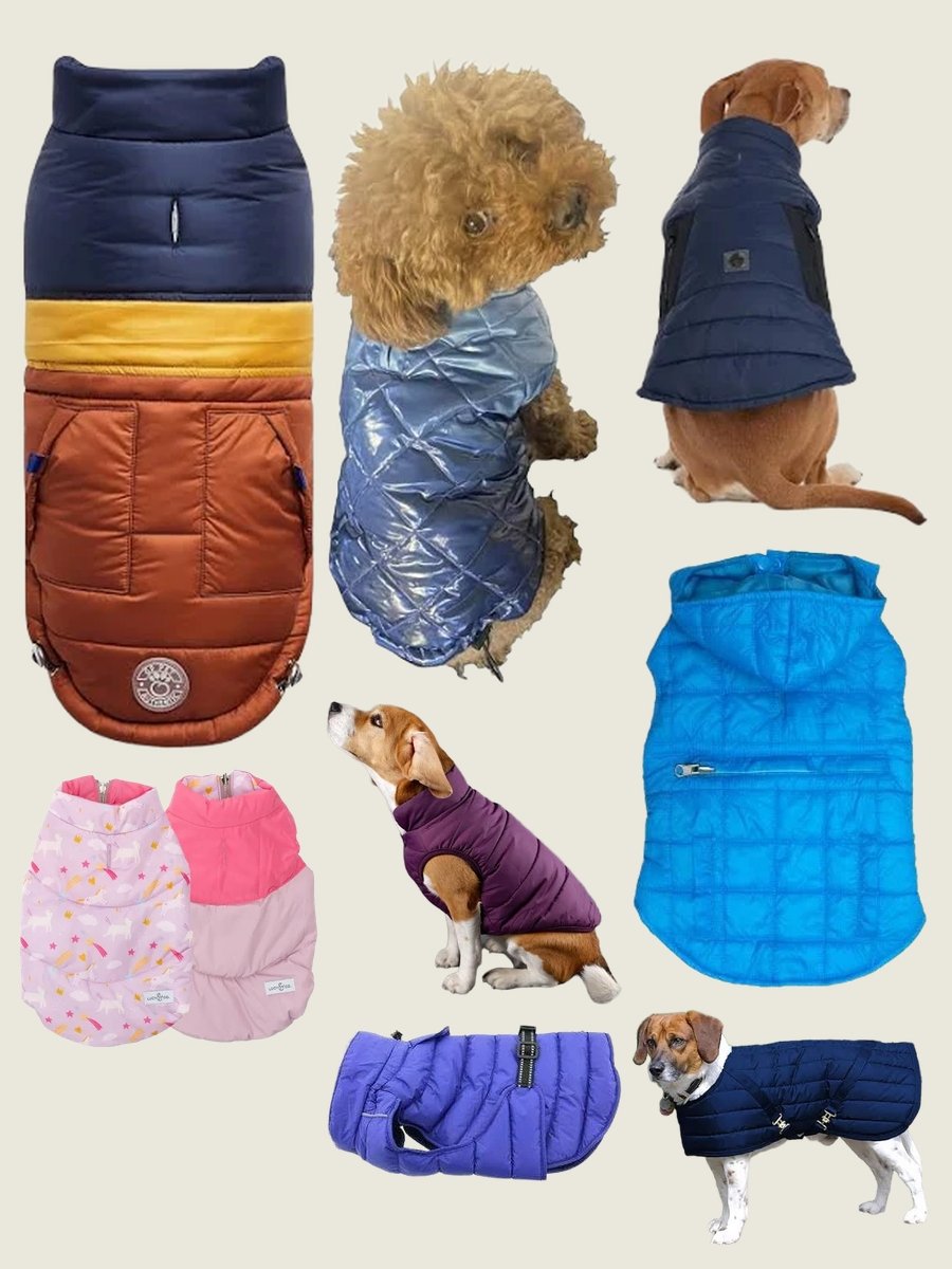 Dog Puffer Jacket: Keep Your Pooch Stylishly Warm!
