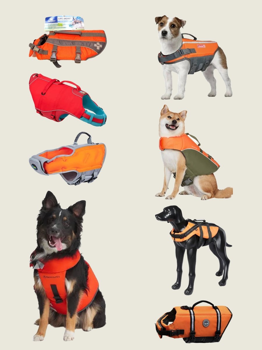 Life Jackets for Dogs: Style Meets Safety