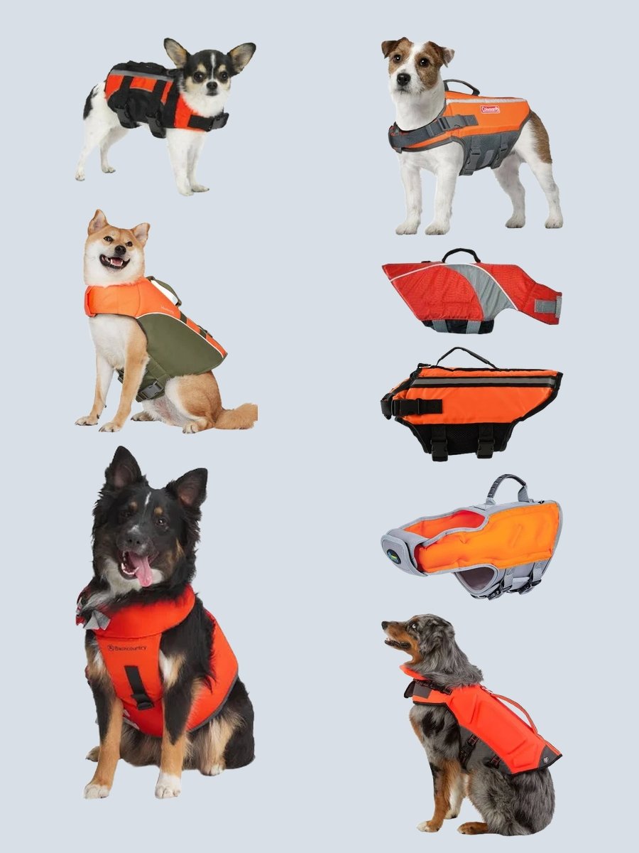 Dog Life Jackets: Amplify Their Adorable Adventure!
