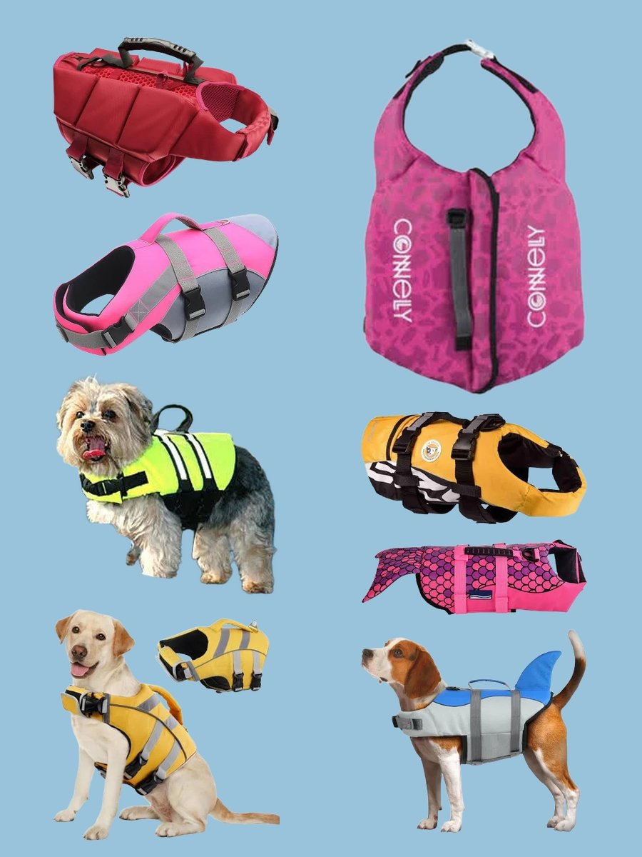 Must-Have: The Chic Pink Neoprene Dog Life Jacket