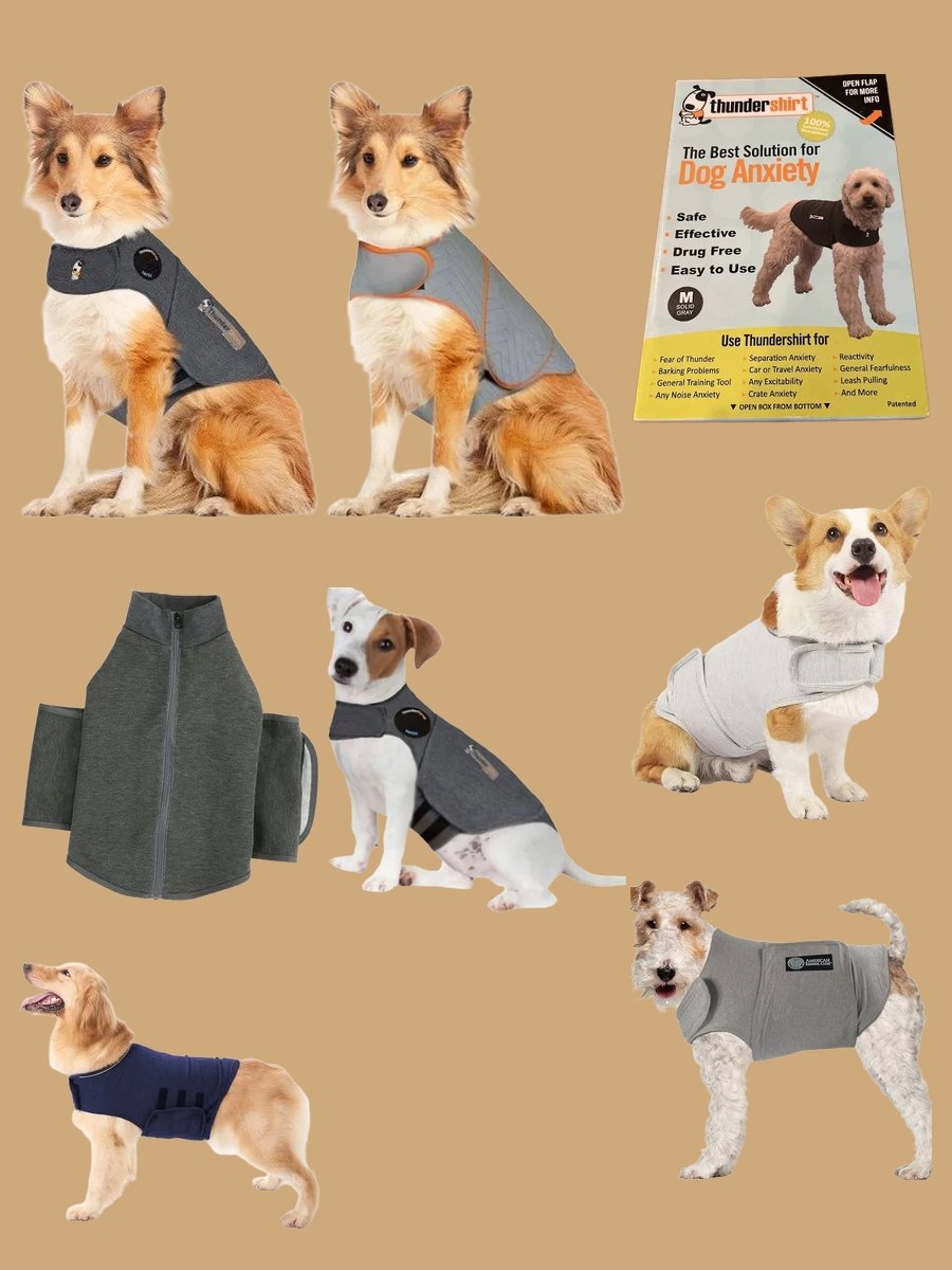 Grey Dog Thunder Jacket: Stylish Pooch Protection!