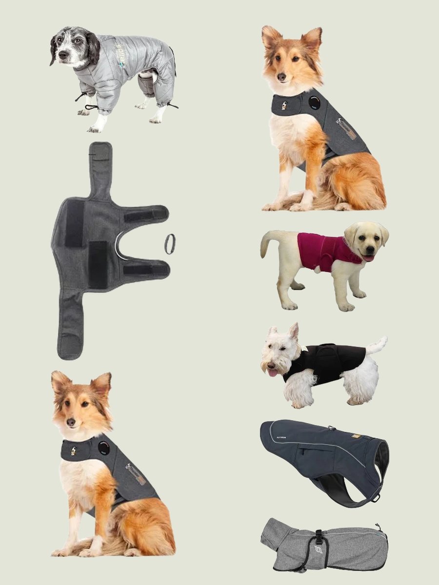 Thunder Jacket for Dogs: The Ultimate Canine Style