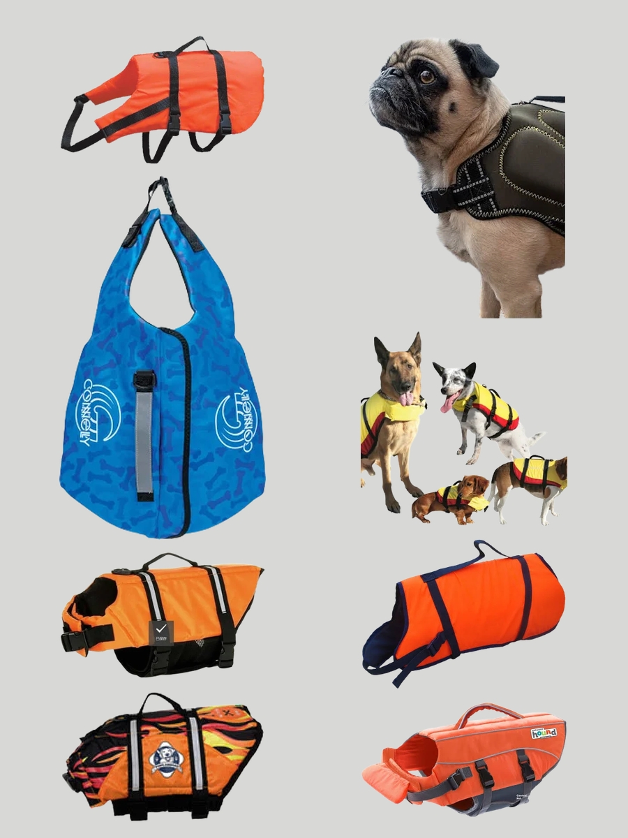 Feline Finesse: The Trendy Neoprene Cat Life Jacket