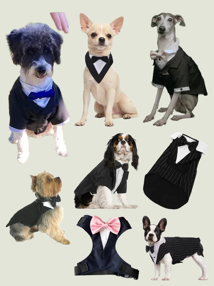 Dog Clothes Tuxedo: Dapper Pup Style Unleashed!