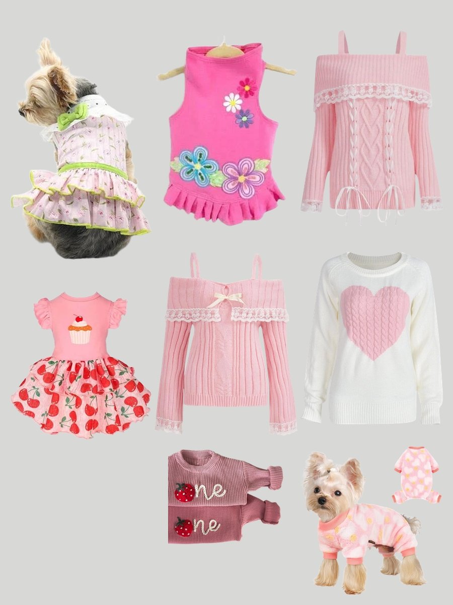 Pet Clothes: Unleash Style for Your Furry Friends