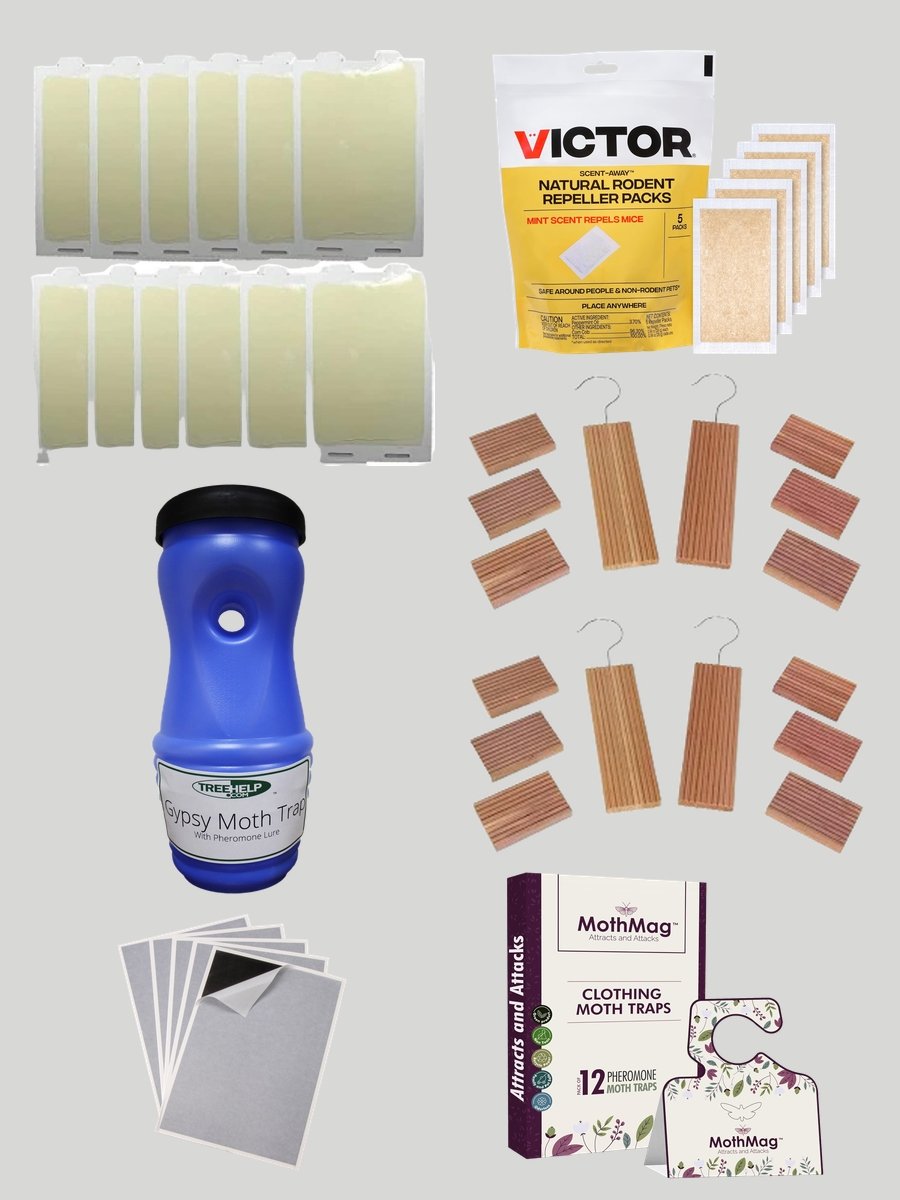 Triangle Sticky Traps: Fashion's Secret Weapon