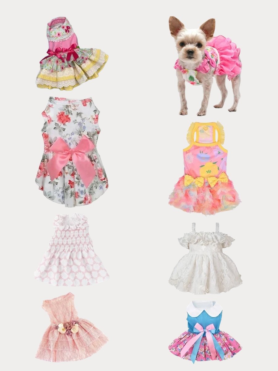Chihuahua Dog Clothes: Stylish Pink Floral Dress