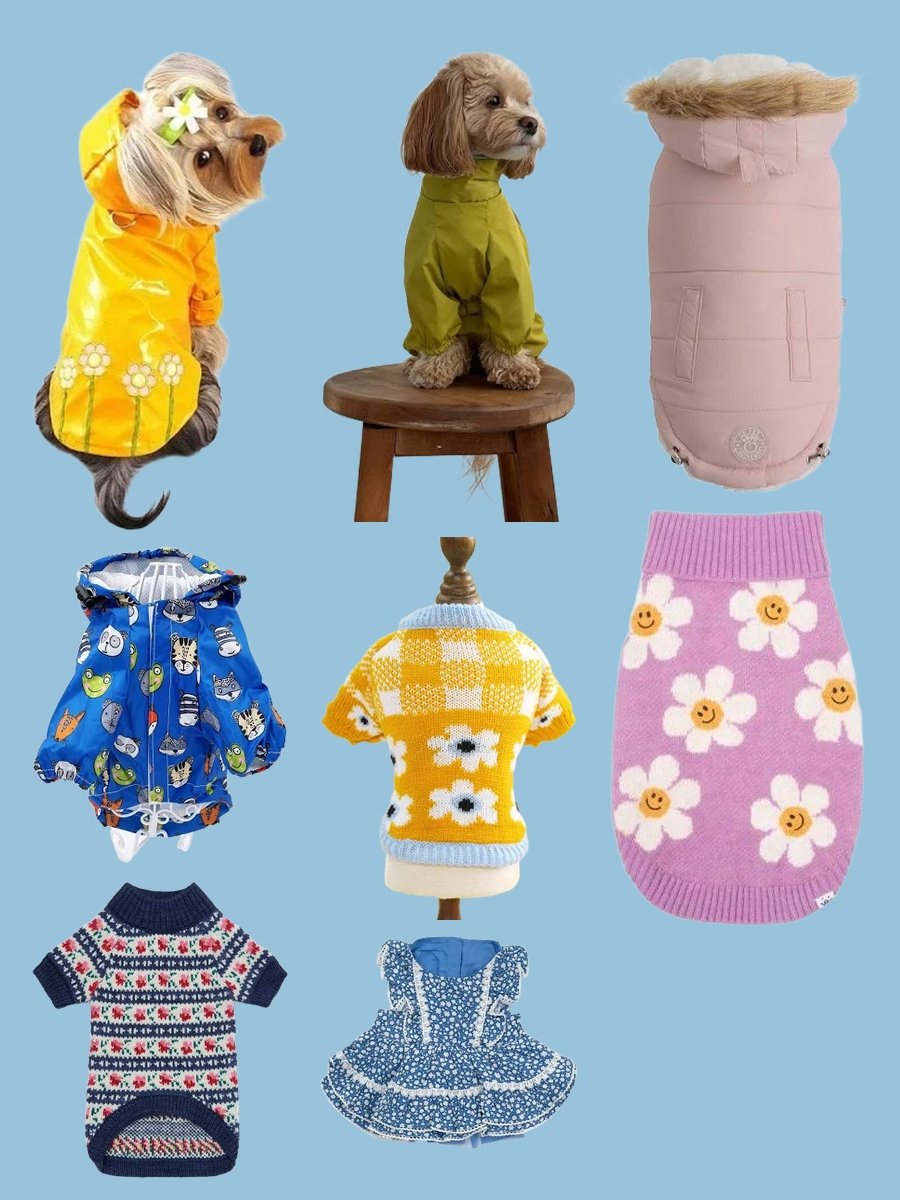 Dazzling Dog Clothing: Turn Heads with Chic Canine Attire