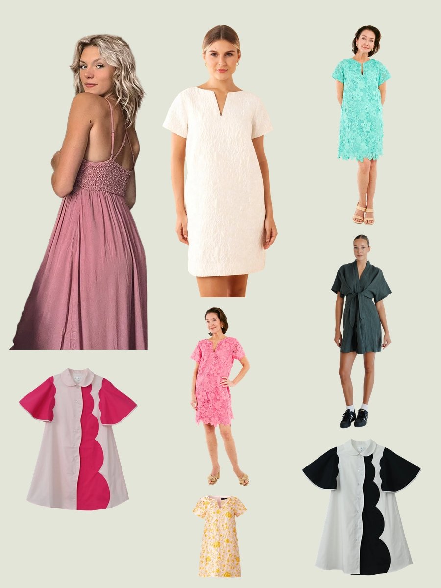 Cloth Moths Defeated: Fashion Wins!