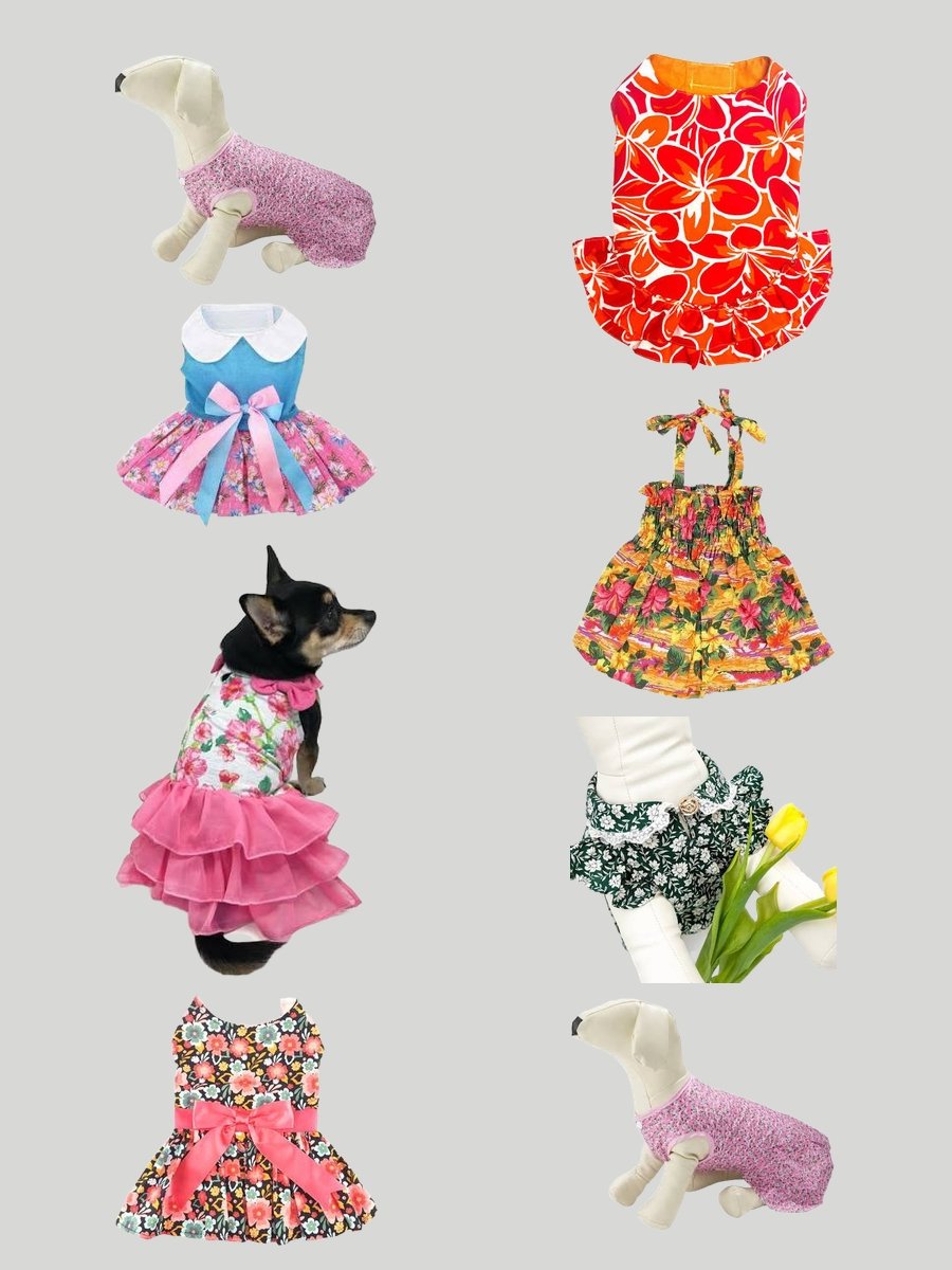 Designer Dog Clothes: Unleash Floral Fabulousness!